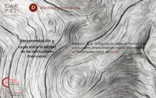 Criminal Compliance Carpel Abogados Compliance Penal Recomendaciones GAFI Descarga 09