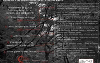 Criminal Compliance Carpel Abogados Guía Combate FT aplicable OSFL UIF 09.dic.2020