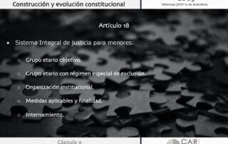 Penitenciario Criminal Compliance Carpel Abogados Compliance Penal Evolución Constitucional