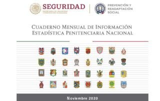 Cuaderno Mensual Información Estadística Penitenciaria Nacional Noviembre 2020 Carpel