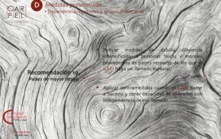 Criminal Compliance Carpel Abogados Compliance Penal Recomendaciones GAFI Descarga 19