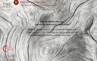 Criminal Compliance Carpel Abogados Compliance Penal Recomendaciones GAFI Descarga 20 Carpel