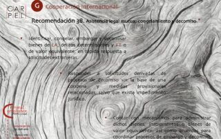 Recomendaciones del GAFI Carpel Abogados Criminal Compliance Penitenciario Síntesis Ejecutiva (38) Carpel