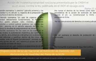 Declaratorias SCJN Invalidez Extinción de Dominio Parte III de IV Carpel